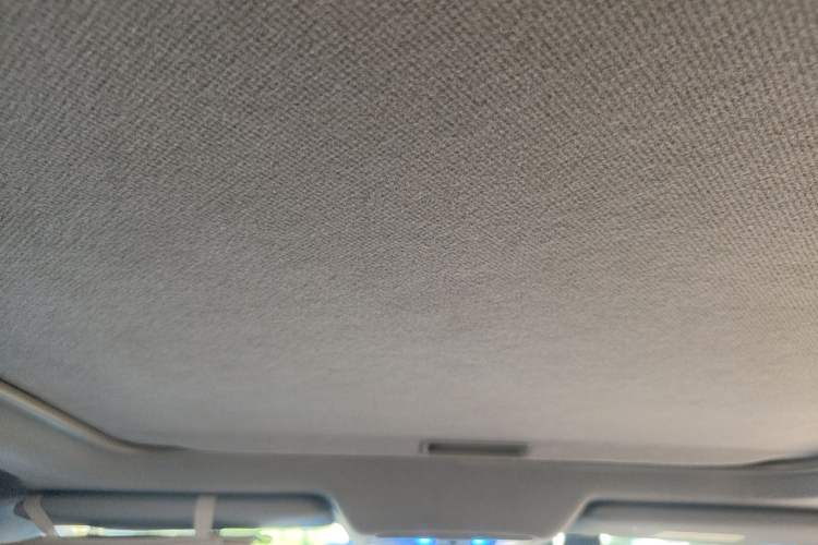 Used Nissan X-Trail 2010 2.5L CVT Luxury Edition 4WD Headliner