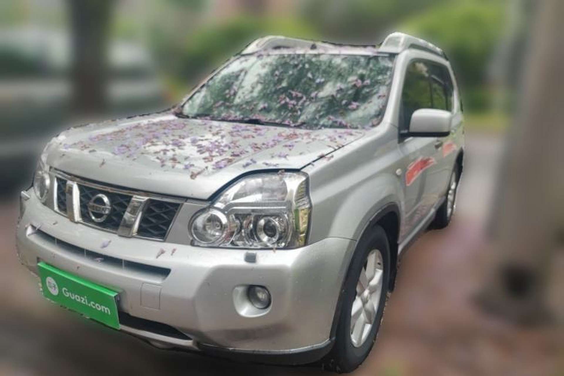 Used Nissan X-Trail 2010 2.5L CVT Ultimate Edition 4WD Front Left 45 Deg