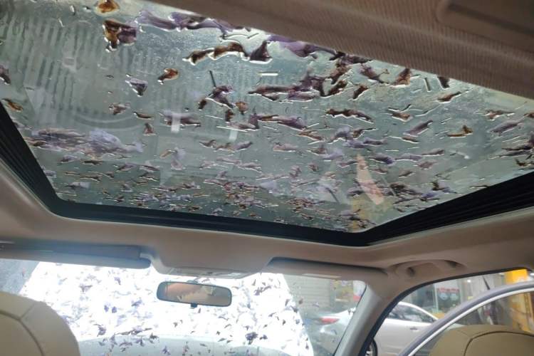 Used Nissan X-Trail 2010 2.5L CVT Ultimate Edition 4WD Headliner