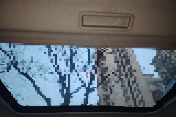 Used Nissan X-Trail 2010 2.5L CVT Luxury Edition 4WD Headliner