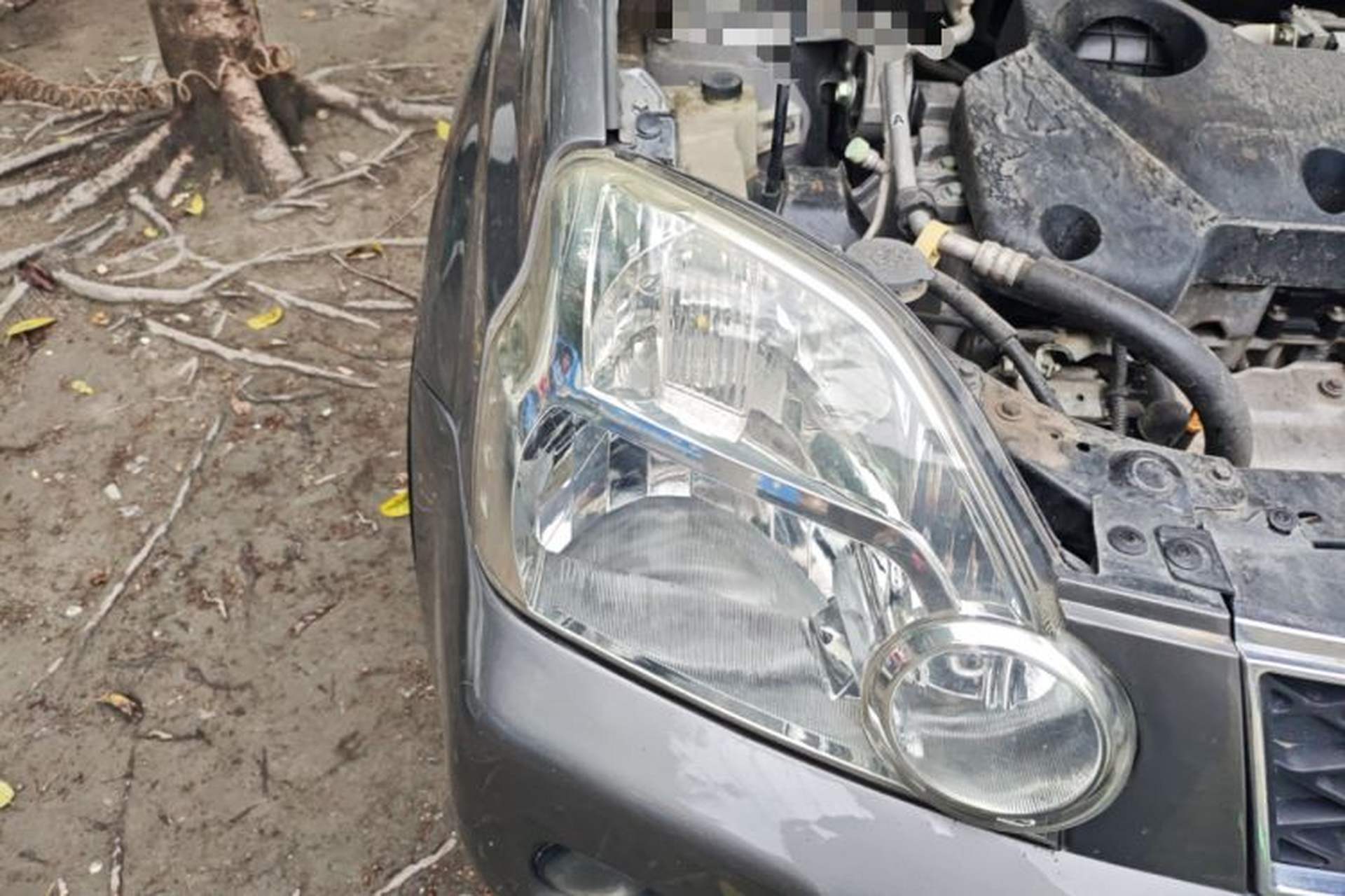 Used Nissan X-Trail 2010 2.5L CVT Luxury Edition 4WD Right Front Headlight