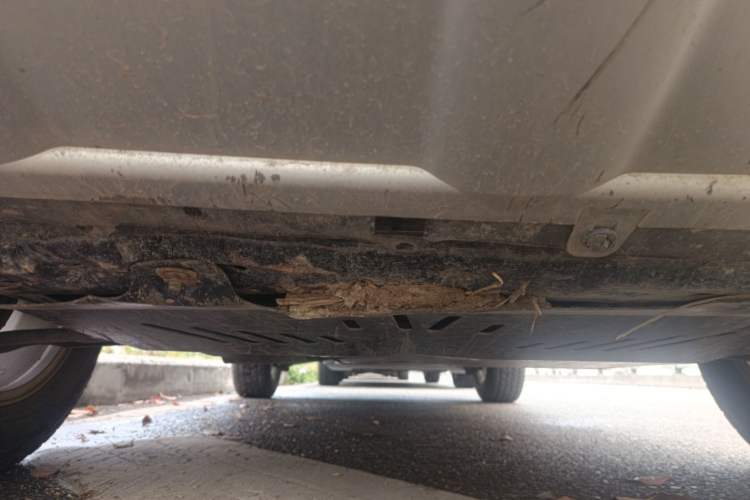 Used Nissan X-Trail 2012 2.5L CVT Flagship Edition 4WD Chassis Front