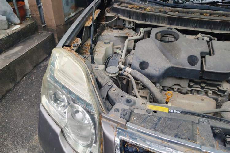 Used Nissan X-Trail 2012 2.5L CVT Luxury Edition 4WD Engine Bay Right