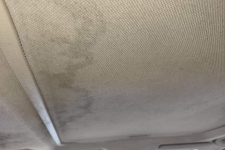 Used Nissan X-Trail 2012 2.5L CVT Luxury Edition 4WD Headliner