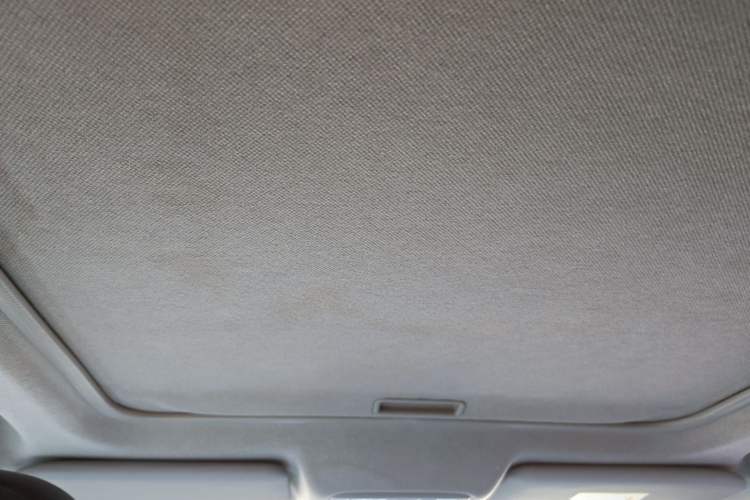 Used Nissan X-Trail 2012 2.5L CVT Luxury Edition 4WD Headliner