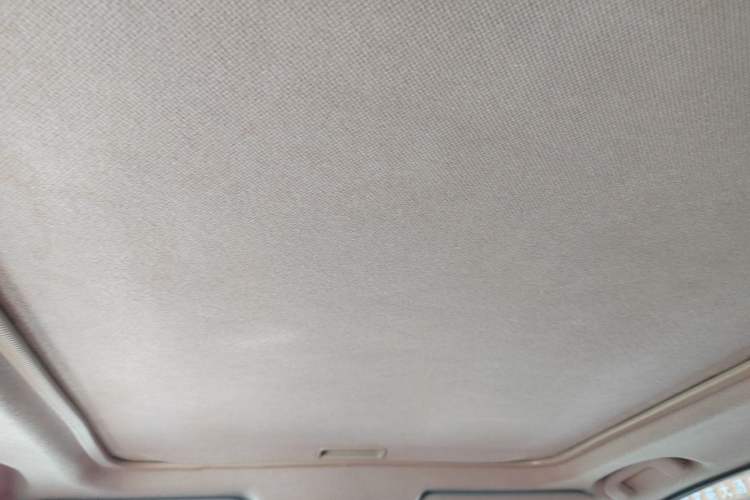 Used Nissan X-Trail 2012 2.5L CVT Luxury Edition 4WD Headliner