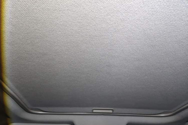 Used Nissan X-Trail 2012 2.5L CVT Luxury Edition 4WD Headliner