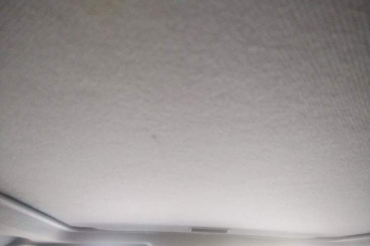 Used Nissan X-Trail 2012 2.5L CVT Luxury Edition 4WD Headliner