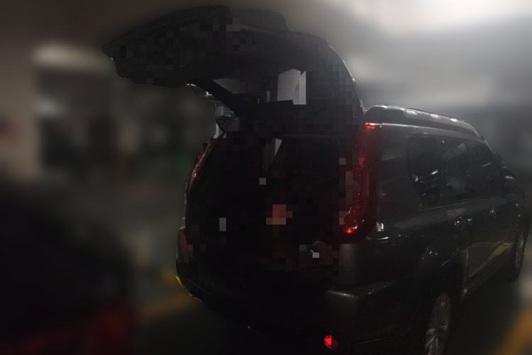 Used Nissan X-Trail 2012 2.5L CVT Luxury Edition 4WD Trunk