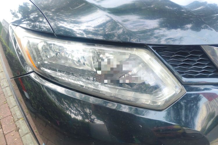 Used Nissan X-Trail 2014 2.0L CVT Comfort Edition 2WD Right Front Headlight