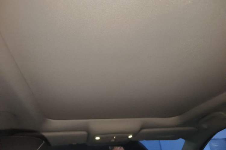 Used Nissan X-Trail 2014 2.0L CVT Smart Edition 2WD Headliner