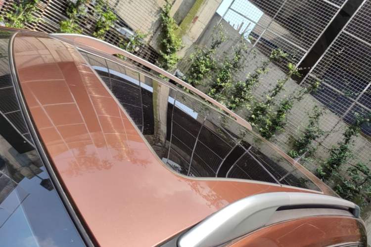 Used Nissan X-Trail 2014 2.5L CVT Luxury Edition 4WD Roof