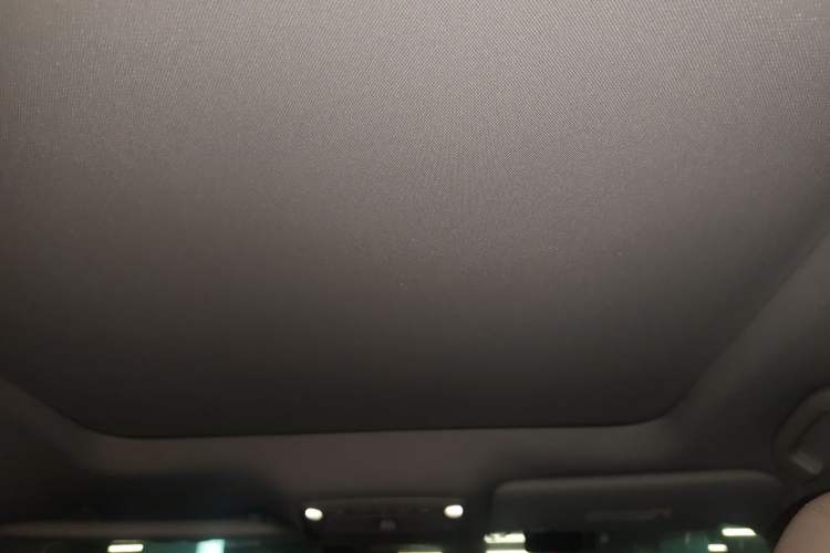 Used Nissan X-Trail 2014 2.5L CVT Leading Edition 4WD Headliner
