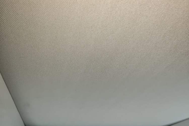 Used Nissan X-Trail 2014 2.5L CVT Luxury Edition 4WD Headliner
