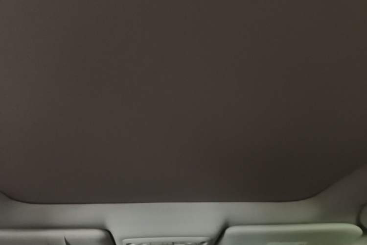 Used Nissan X-Trail 2014 2.5L CVT Ultimate Edition 4WD Headliner
