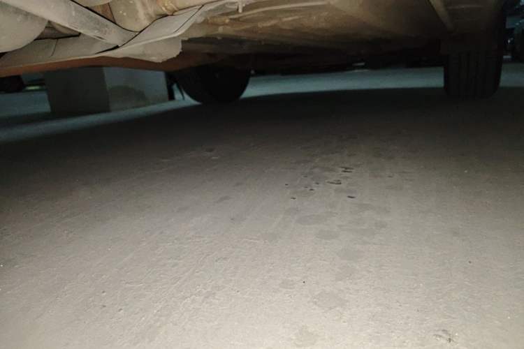 Used Nissan X-Trail 2014 2.0L CVT Comfort Edition 2WD Chassis Rear Right
