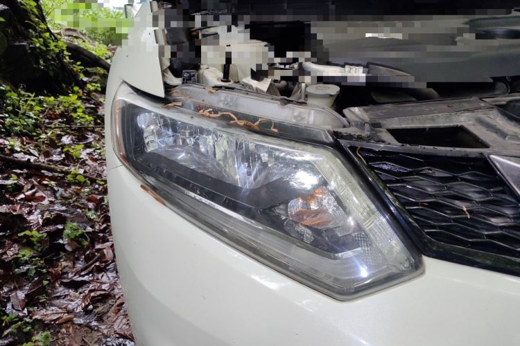 Used Nissan X-Trail 2014 2.0L CVT Comfort Edition 2WD Right Front Headlight