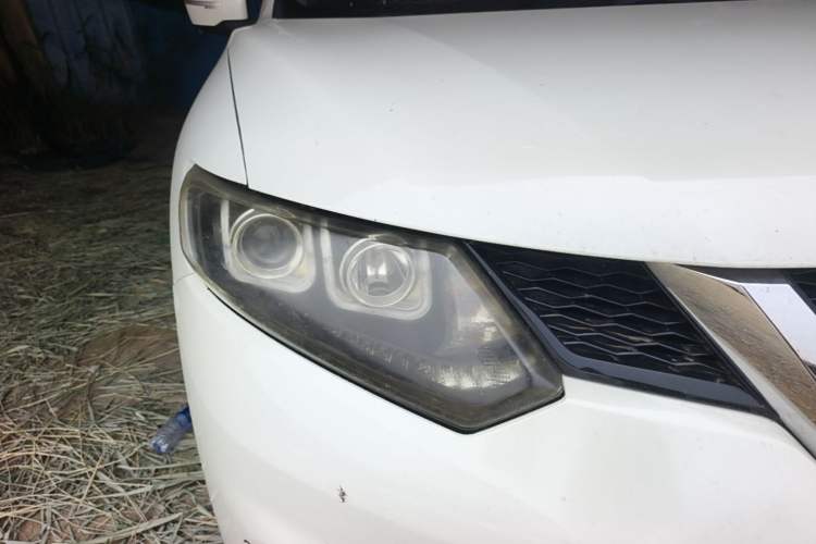 Used Nissan X-Trail 2014 2.5L CVT Luxury Edition 4WD Right Front Headlight