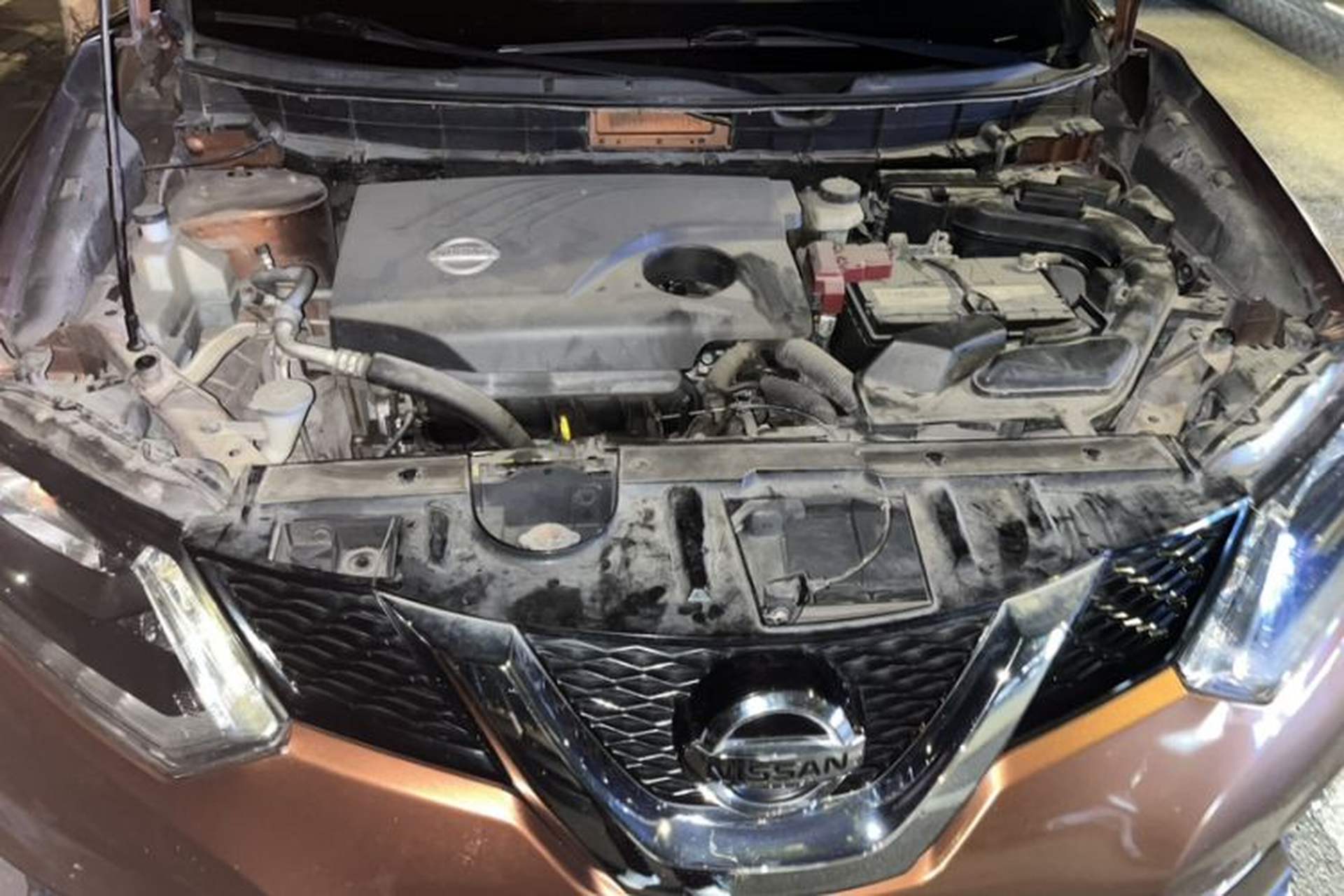 Used Nissan X-Trail 2014 2.0L CVT Comfort Edition 2WD Exterior 5