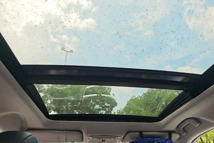 Used Nissan X-Trail 2014 2.0L CVT Comfort Edition 2WD Headliner