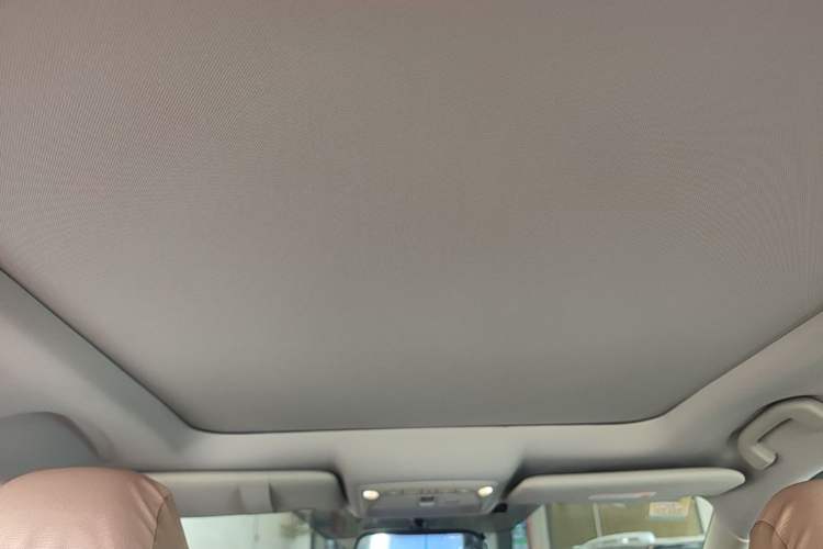 Used Nissan X-Trail 2014 2.0L CVT Smart Edition 2WD Headliner