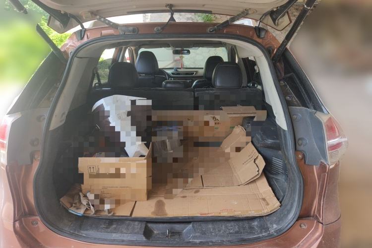 Used Nissan X-Trail 2014 2.5L CVT Ultimate Edition 4WD Trunk