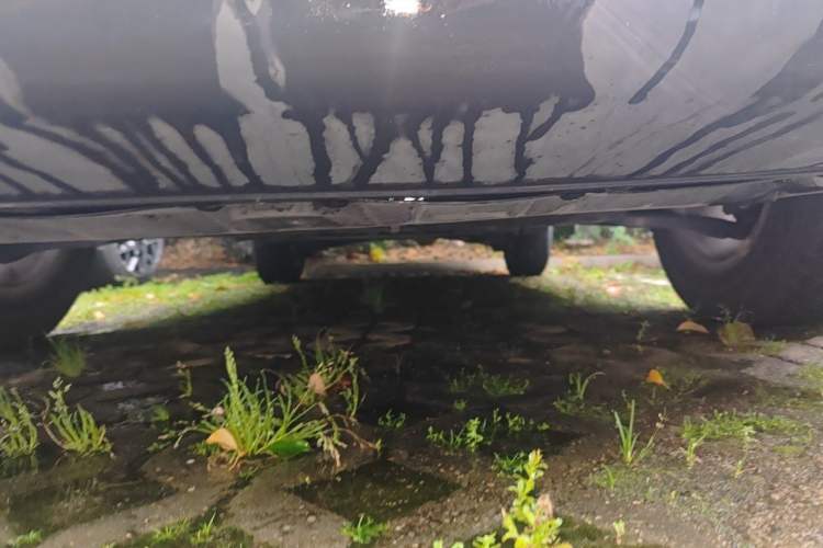 Used Nissan X-Trail 2015 2.0L CVT Comfort MAX Edition 2WD Chassis Front
