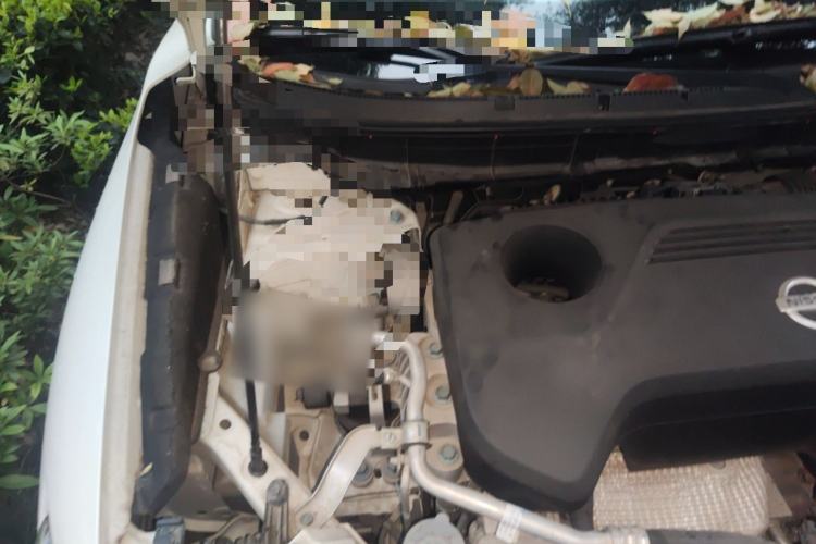 Used Nissan X-Trail 2016 2.5L CVT Sport Edition 4WD Engine Bay Right