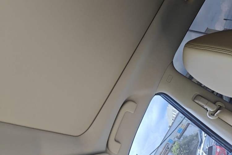 Used Nissan X-Trail 2017 2.5L CVT Leading Edition 4WD Headliner
