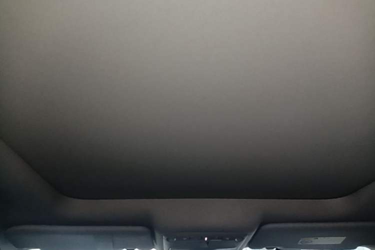 Used Nissan X-Trail 2017 2.5L CVT Leading Edition 4WD Headliner