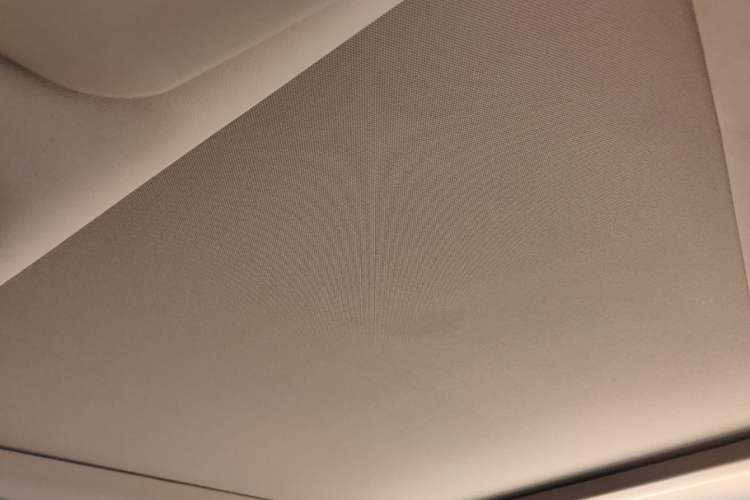 Used Nissan X-Trail 2019 2.0L CVT Smart Connect Comfort Edition 2WD Headliner