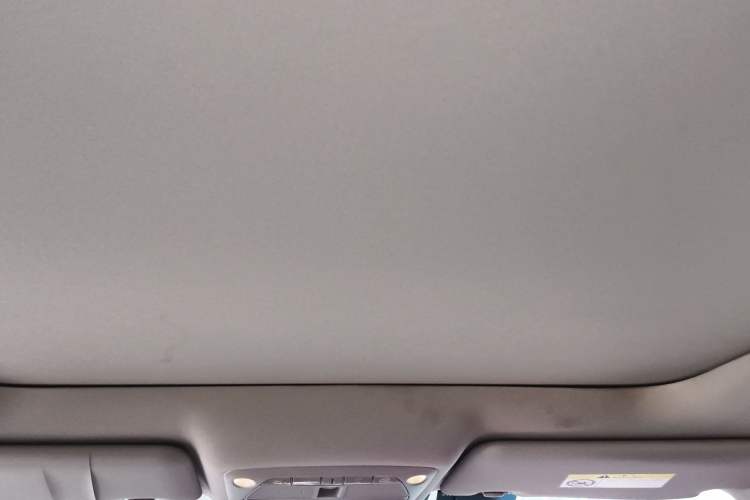 Used Nissan X-Trail 2019 2.5L CVT Smart Connect Luxury Edition 4WD Headliner