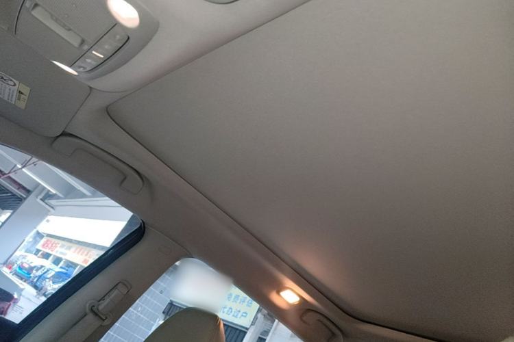 Used Nissan X-Trail 2019 2.5L CVT Smart Connect Luxury Edition 4WD Headliner