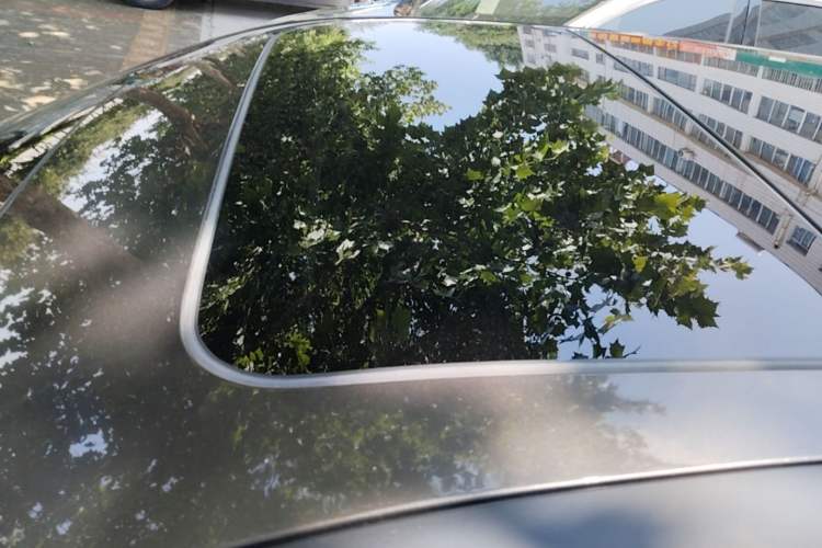 Used Nissan X-Trail 2019 2.0L CVT Comfort Edition 2WD Roof