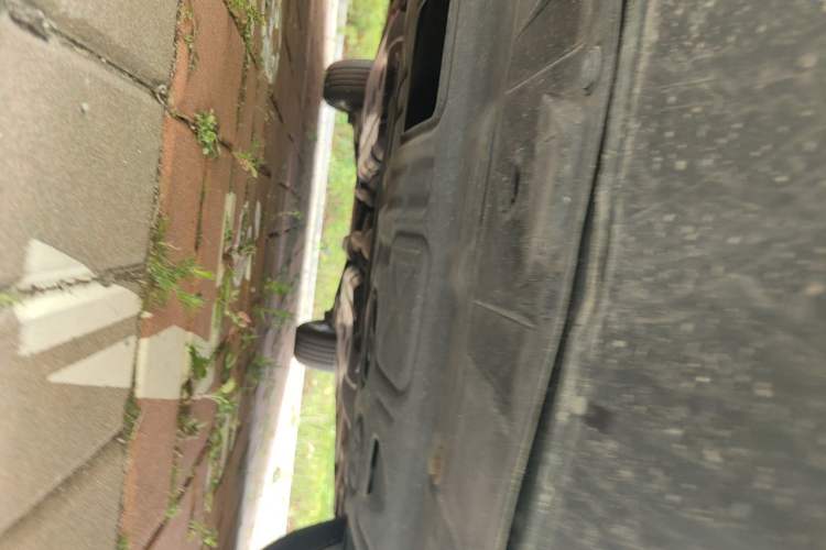 Used Nissan X-Trail 2019 2.0L CVT Smart Connect Comfort Edition 2WD Chassis Front