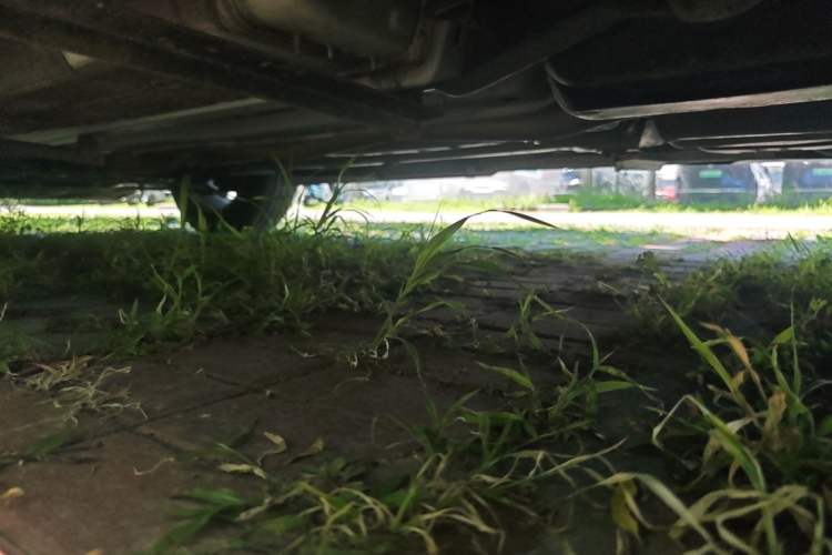 Used Nissan X-Trail 2019 2.0L CVT Comfort Edition 2WD Chassis Rear Left