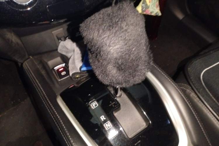 Used Nissan X-Trail 2019 2.0L CVT Smart Connect Comfort Edition 2WD Gear Lever