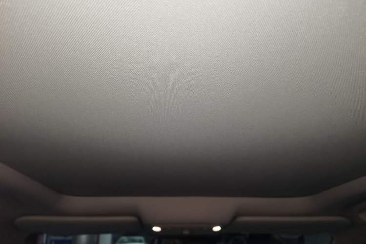 Used Nissan X-Trail 2019 2.5L CVT Smart Connect Luxury Edition 4WD Headliner