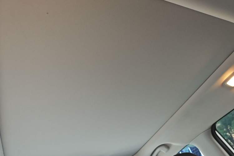 Used Nissan X-Trail 2019 2.0L CVT Smart Connect Comfort Edition 2WD Headliner