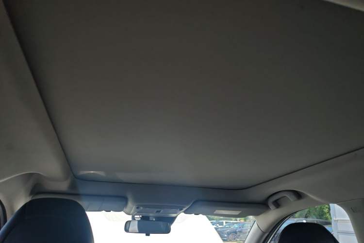 Used Nissan X-Trail 2019 2.5L CVT Smart Connect Luxury Edition 4WD Headliner