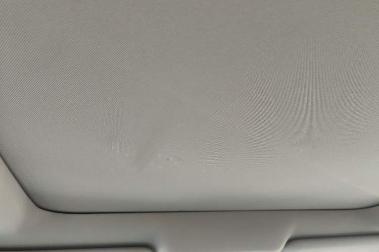 Used Nissan X-Trail 2019 2.5L CVT Smart Connect Luxury Edition 4WD Headliner