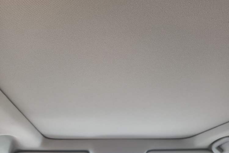 Used Nissan X-Trail 2019 2.5L CVT Smart Connect Luxury Edition 4WD Headliner
