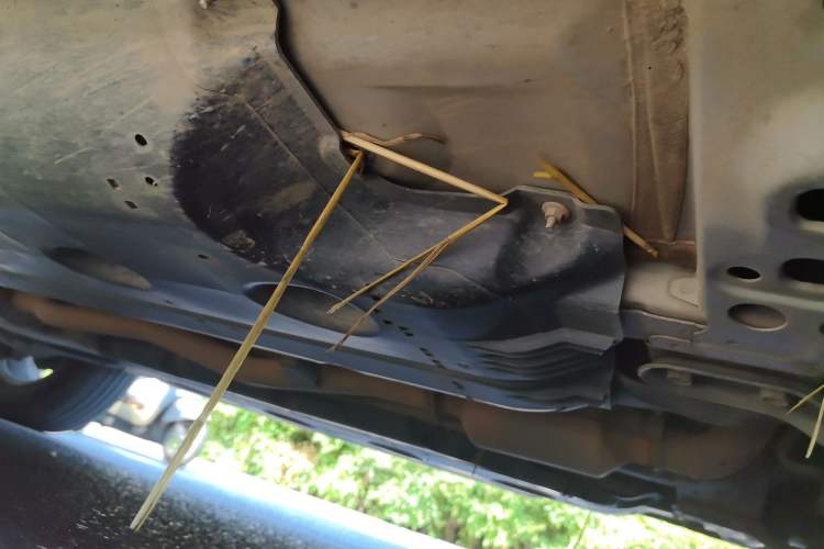 Used Nissan X-Trail 2020 2.0L XL ITS CVT 2WD SmartConnect Comfort Edition Chassis Front Right
