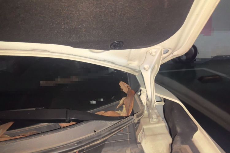Used Nissan X-Trail 2020 2.5L XL ITS CVT 4WD Deluxe Navigation Edition Engine Bay Left