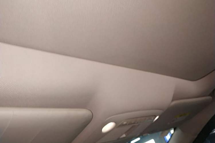 Used Nissan X-Trail 2020 2.5L XL ITS 3-Row CVT 4WD Seven-Seater Luxury Navigation Edition Headliner