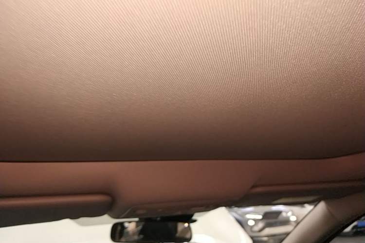 Used Nissan X-Trail 2020 2.0L XL ITS CVT 2WD SmartConnect Comfort Edition Headliner