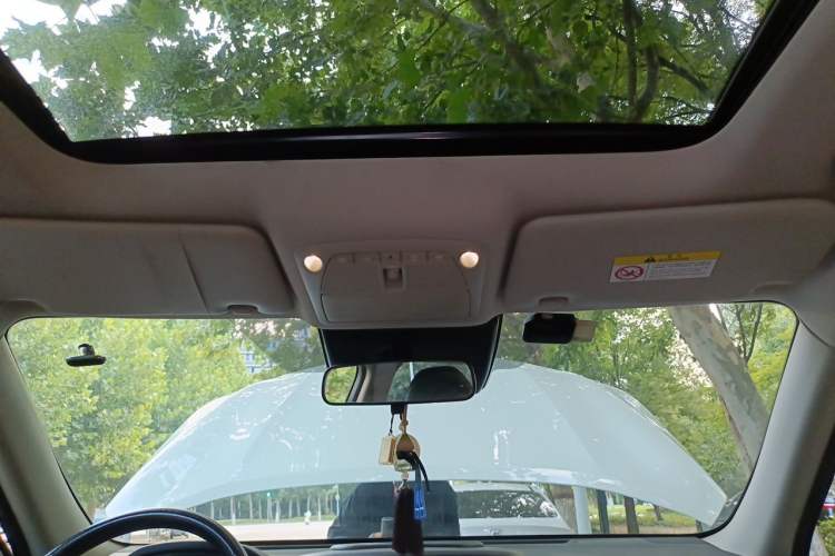 Used Nissan X-Trail 2020 2.0L XL ITS CVT 2WD SmartConnect Comfort Edition Headliner