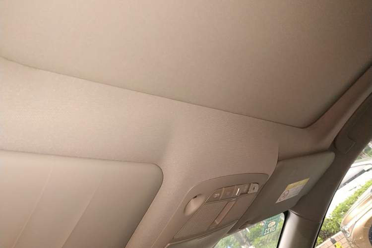 Used Nissan X-Trail 2021 2.5L CVT 4WD XL SmartConnect Leading Edition Headliner
