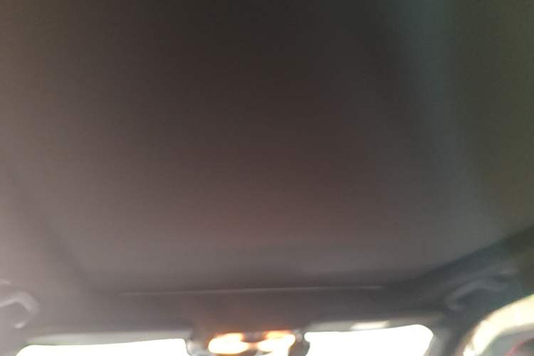 Used Nissan X-Trail 2021 VC-Turbo 300 CVT 2WD Luxury Edition Headliner
