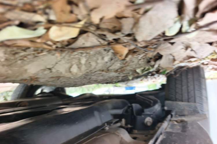 Used Nissan X-Trail 2021 2.0L CVT 2WD XL ITS SmartConnect Comfort Edition Chassis Rear Right